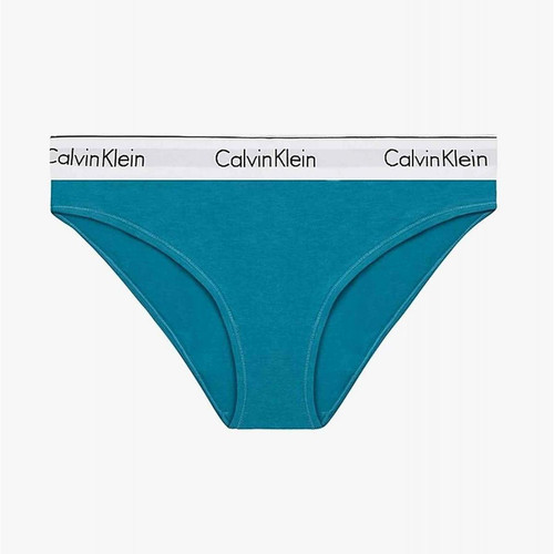 Culotte classique - Bleue en coton  - Calvin Klein Underwear - Lingerie culotte slip femme